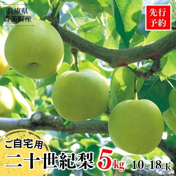 【ふるさと納税】【先行予約】梨 【20世紀梨 ご自宅用 5kg サイズ L～5L混合（10～18玉）】ご自宅用 不揃い 訳あり 返礼品 二十世紀梨 日本海に面する梨の本場 兵庫県 香美町 フルーツ 青梨 和梨 ふるさと納税 先行予約 梨 JAたじま 12000円