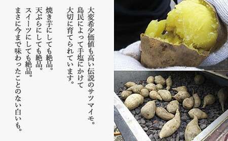 【先行予約】【数量限定】 新居浜大島産 幻のさつまいも 『白いも』 5kg 七福芋 白芋 希少