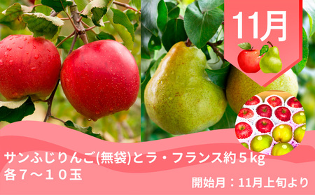 【定期便4回】やまがた郷土フルーツ定期便A FY25-342