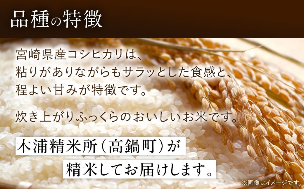 【無洗米】 ＜チャック付＞ 新米 国産 令和8年産 こしひかり コシヒカリ 10kg 宮崎県産 お米 白米 おすすめ 簡単 ご飯 弁当 精米 おにぎり