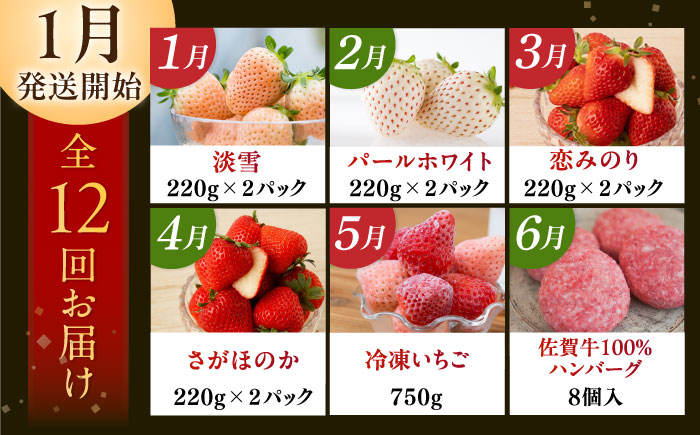 【先行予約】【全12回定期便】佐賀県の生産者を応援！いちごと佐賀牛を楽しむ定期便 / 白いちご いちご ステーキ ハンバーグ 切り落とし 佐賀牛 / 佐賀県ふるさと納税 [41AAZZ008]