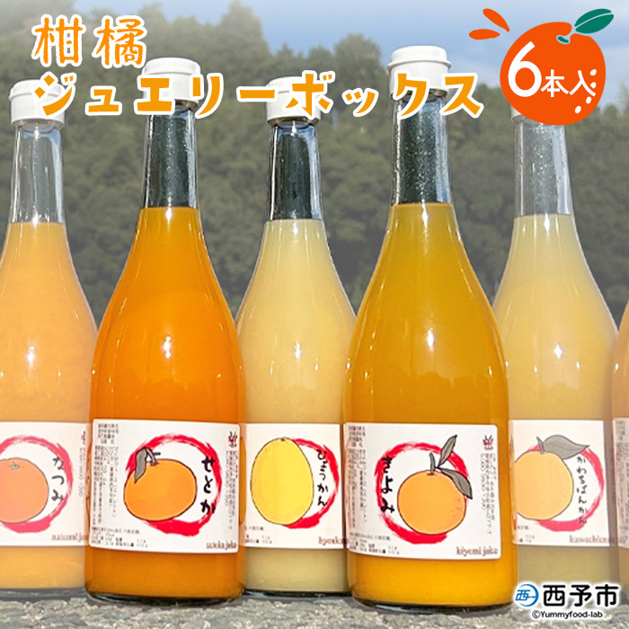 ＜一歩会 ジュエリーボックス ジュース飲み比べセット 720ml×6本入り（果汁100%ストレートジュース）＞ 愛媛 みかん ミカン 柑橘 果物 フルーツ 特産品 渡江から一歩を踏み出す会 愛媛県 西予市