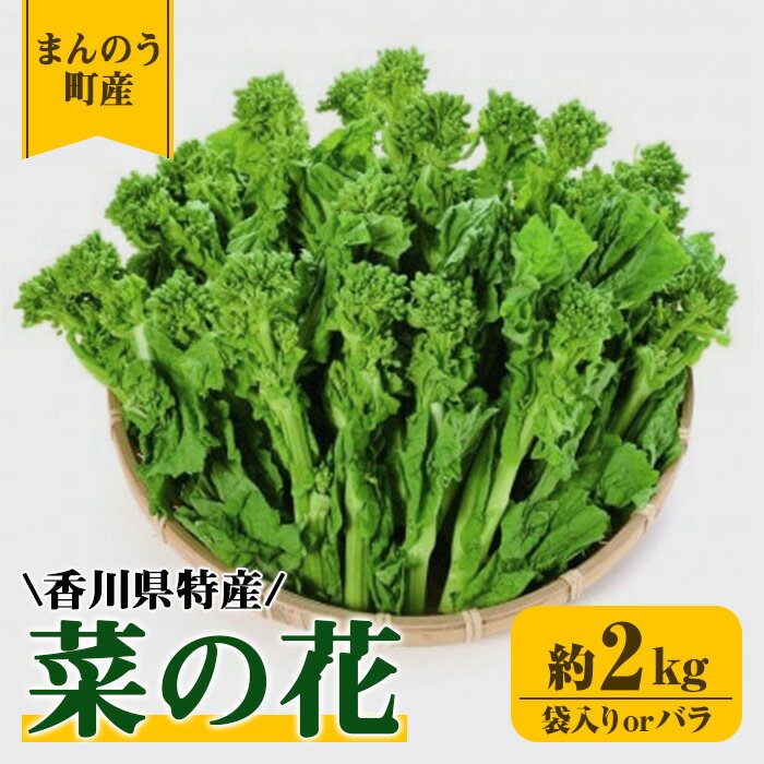【ふるさと納税】＜選べる＞＜期間限定！2025年12月中旬以降順次発送予定＞菜の花(約2kg/袋入り・バラ) なの花 春 春野菜 野菜 産地直送 新鮮 香川 香川県 特産 果物 ベジタブル 旬 人気 お取り寄せ 新登場 【man356】【Aglio nero】