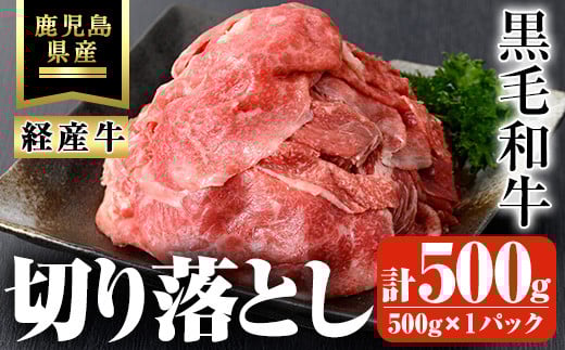鹿児島県産黒毛和牛(経産牛) おためし切り落とし 計500g(500g×1パック) 鹿児島県産 黒毛和牛 切り落とし【ビーフ倉薗】A523