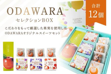 ODAWARAセレクションBOX ゼリー×3 ケーキ×5 焼き菓子 4種　