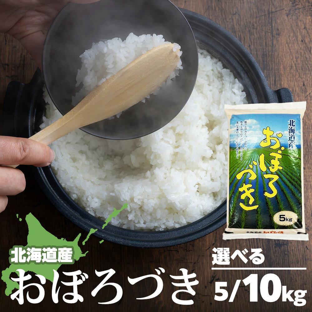 【ふるさと納税】【令和7年産】北海道産 おぼろづき 選べる5kg～10kg 1袋5kg米 お米 北海道産米 米 北海道米 北海道産 北海道ふるさと納税 稚内 ふるさと納税 北海道 【配送不可地域：沖縄・離島】