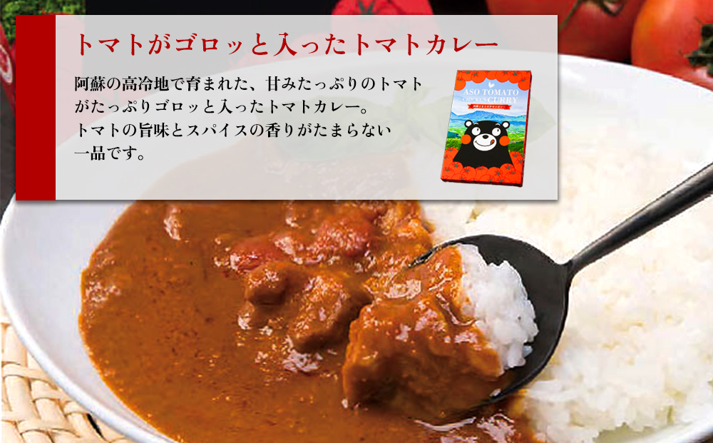 あか牛トマトバターカレー＆阿蘇とまとのチキンカレー 各2個 計4個 阿蘇はなびし食品研究所  詰め合わせ セット お取り寄せ 惣菜 おかず ギフト 贈答品 御礼 お祝い 御祝 温めるだけ 熊本県 阿蘇
