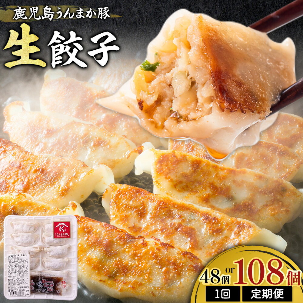 鹿児島うんまか豚生餃子 計144個(12個入り×12P) タレ付き