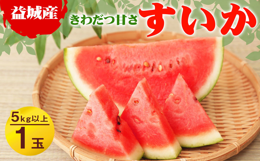 
【2024年3月下旬発送開始】益城産 西瓜 約5kg以上 1玉入り
