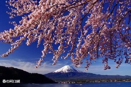 【富士河口湖町】JTBふるさと旅行券（紙券）900,000円分 山梨 旅行 JTB 旅行券 富士山 富士河口湖 富士 山梨 旅行 JTB 旅行券 富士山 富士河口湖 富士 山梨 旅行 JTB 旅行券 