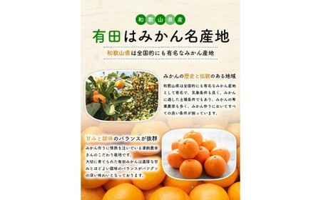 【2026年10月中旬～11月中旬頃に順次発送予定】有田育ちの完熟有田みかん 家庭用 サイズ混合(2S～2L)　約5.2kg(5kg+200g)【ard186D-10】