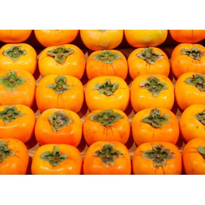 ふるさと納税 由良町 アンポ干し柿用平核無(ヒラタネナシ)生渋柿AP-約4.5-5kg　約22~35果実入り箱 |  | 02