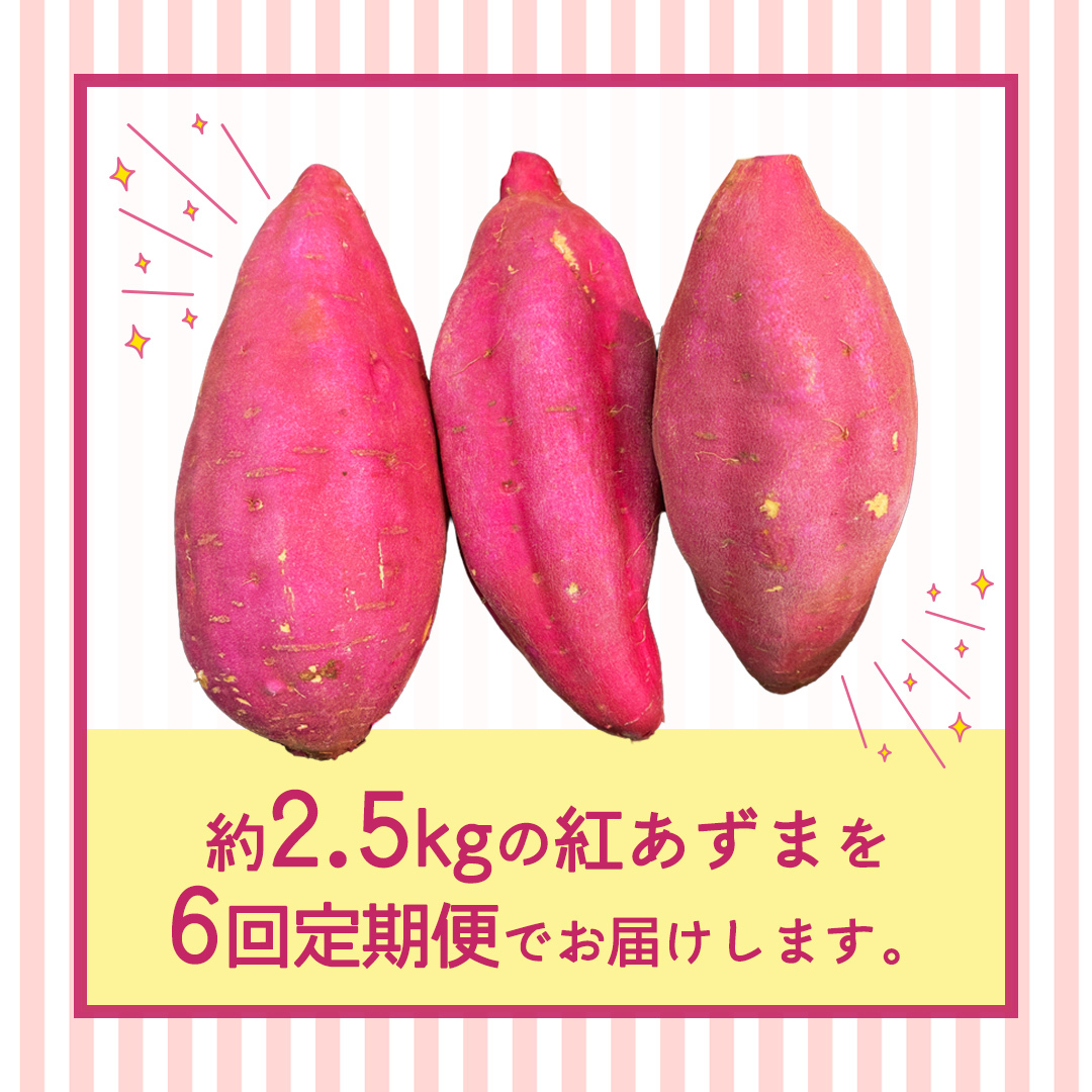 紅あずま 約2.5kg （6回 定期便 ）（茨城県共通返礼品 [さつまいも]：行方市産） 6か月定期便 定期便 さつまいも サツマイモ べにあずま 芋 いも 野菜 根菜  茨城県産 お取り寄せ 野菜 