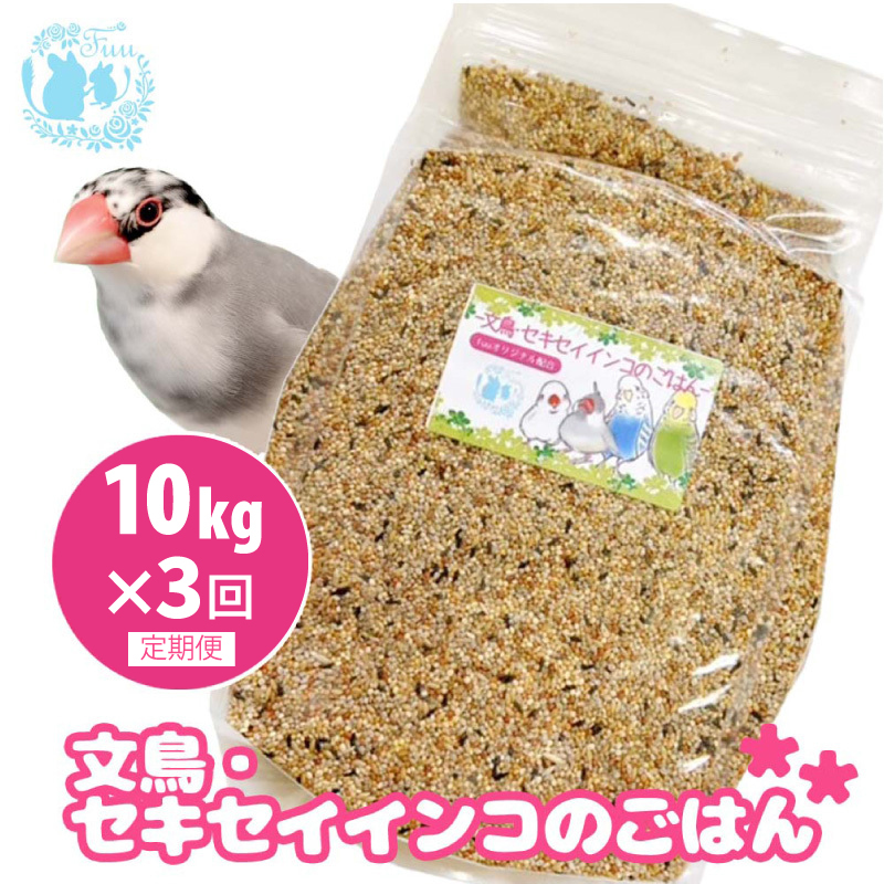 【3ヶ月定期便】fuu 文鳥・セキセイインコのごはん（10kg）［145S48-T］【3ヶ月定期便】fuu 文鳥・セキセイインコのごはん インコ 小鳥 エサ ペット用品 複数種 シード オリジナル配合