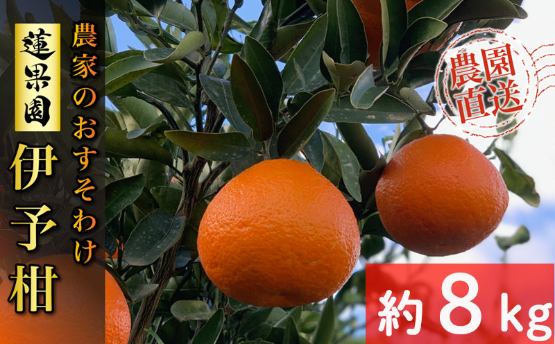 
            【ふるさと納税】 【先行予約】 【2026年1月から発送予定】 家庭用 宮内伊予柑  8kg サイズ混合  （ 訳あり 柑橘 みかん 果物 くだもの フルーツ おすすめ  人気 お取り寄せ グルメ ギフト 期間限定 数量限定 ご当地 愛媛県 松山市 ）
          