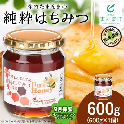 ふるさと納税 東神楽町 東神楽産採れたまんまの純粋はちみつ 600g1個【9月採蜜】