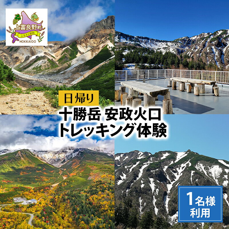 【ふるさと納税】湯元 凌雲閣 日帰り 安政火口 トレッキング 体験 北海道 上富良野 サマー アクティビティ 十勝岳 夏期