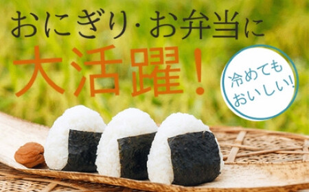 令和6年産 ゆめみづほ 精米 5kg × 2袋　021008