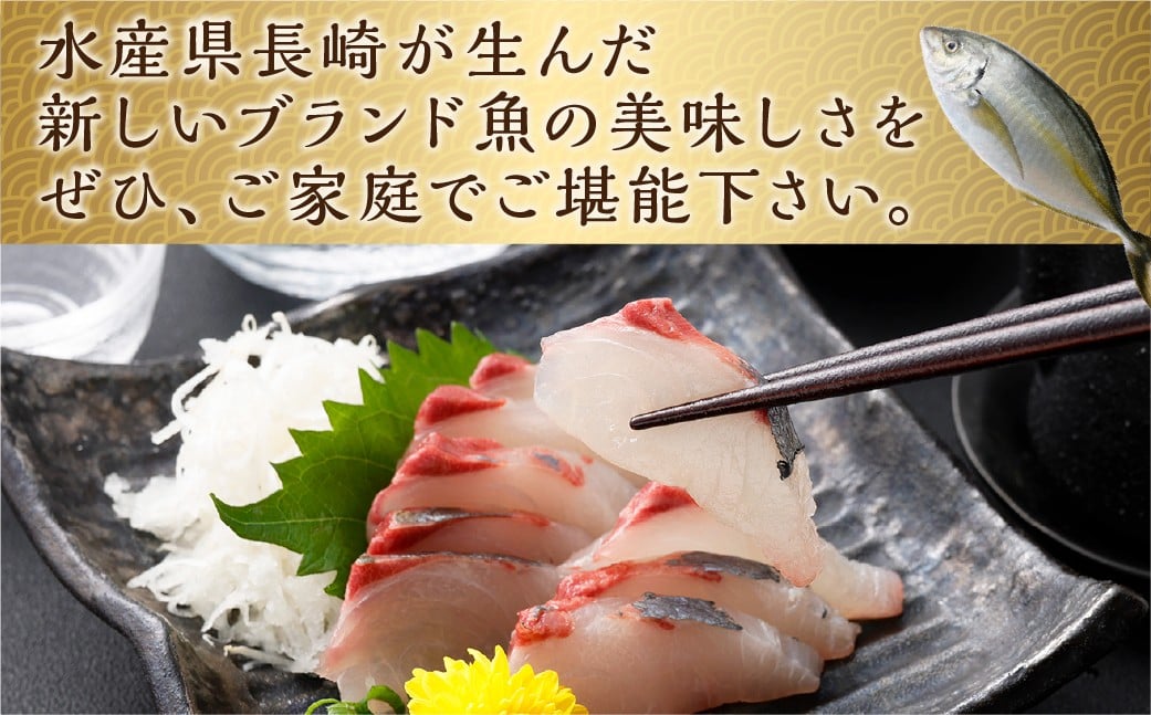【14営業日以内発送】【premiumfishbrand】 ゆうこうシマアジ （活〆） ×1尾 （約1kg） シマアジ しまあじ 鯵 アジ あじ ゆうこう ブランド魚 魚 海鮮 九州 長崎県 長崎市 