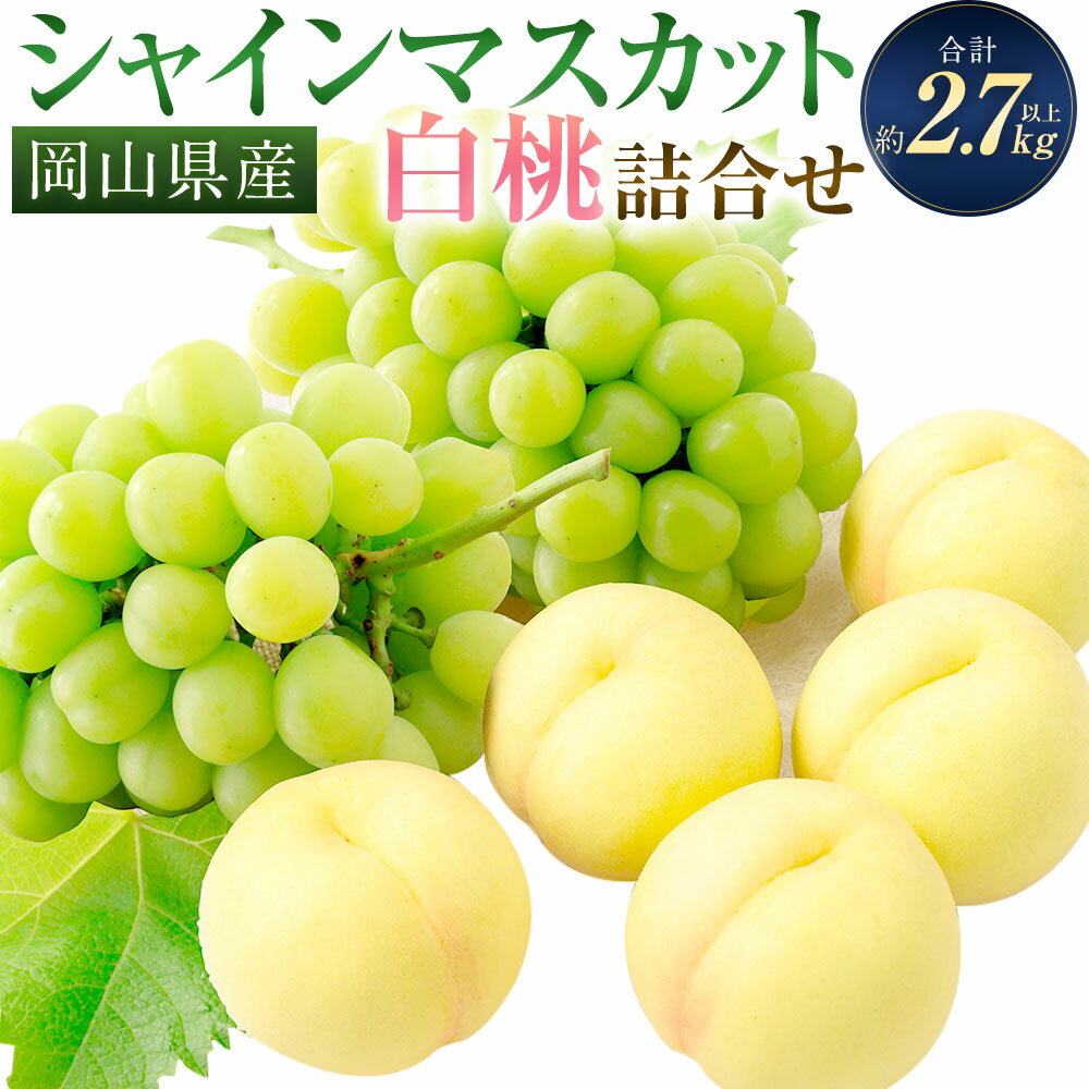 【ふるさと納税】桃 ぶどう 2026年 先行予約 岡山白桃（5玉）・シャインマスカット（2房） 詰め合わせ セット 合計2.7kg以上 もも 葡萄 くだもの 果物 果実 フルーツ 環山堂 ギフト 贈答 冷蔵 岡山県産 国産 岡山県 奈義町 送料無料 【2026年7月上旬～8月上旬 発送予定】