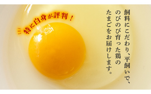 生産者のこだわり！たまごかけ ご飯セット (上ホ醤油（株）ぶっかけ卵に醤油150ml×2 たまご 32個 産直米 2kg) 産地直送 たまご 玉子 生卵 鶏卵 タマゴ 平飼い 卵 非遺伝子組換え [B