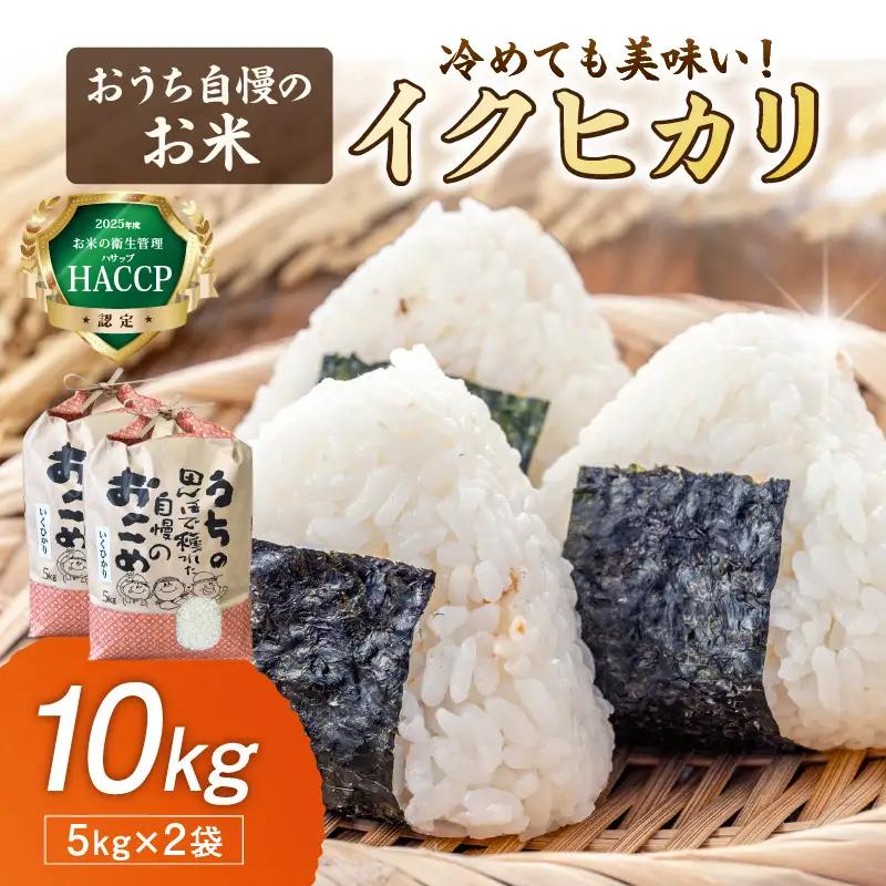 【1297】おうち自慢のお米　イクヒカリ10kg