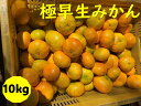 【ふるさと納税】極早生みかん 10kg ご家庭用 農園直送 先行予約 10月発送 愛媛 数量限定 愛媛県産 人気 柑橘 伊予市｜B254