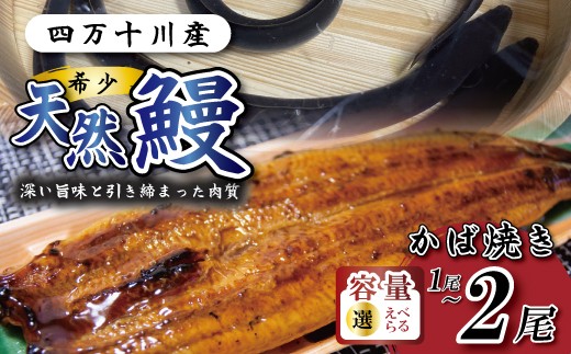 
                  希少 四万十川産＜天然うなぎ＞蒲焼 1尾 2尾 天然うなぎ 天然 四万十川 希少 鰻 ウナギ うなぎ お取り寄せ グルメ きざみ お楽しみ おいしい ギフト 食べ物 食品 おかず 国産鰻 蒲焼 うなぎ蒲焼 ウナギ蒲焼 鰻蒲焼 冷凍 国産 高知 高知県 四万十 四万十市
                