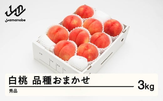 《先行予約》2025年 山形県産 もも 白桃 秀品 品種おまかせ 化粧箱入り 約3kg  令和7年産 ns-mohtx3