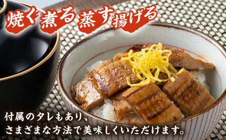 対馬産 穴子 詰め合わせ 10PAC [WAV002] 九州 長崎 離島 穴子丼 アナゴ フワフワ 海鮮丼 煮魚 和食 コダワリ穴子・あなご・アナゴ こだわり穴子・あなご・アナゴ おすすめ穴子・あなご