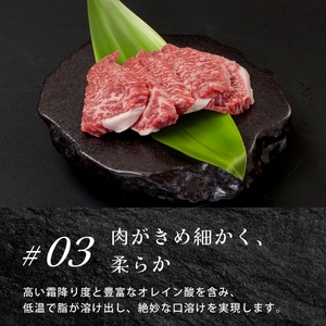 近江牛サーロインステーキ800g / 焼肉すだく 栗東市 日本三大和牛 国産 肉 和牛 牛肉