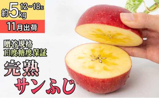 11月 贈答規格 完熟サンふじ約5kg（12～18個）13度糖度保証【青森りんご・ゆうきアップル・11月】 果物類 果物 フルーツ ジューシー 代表品種