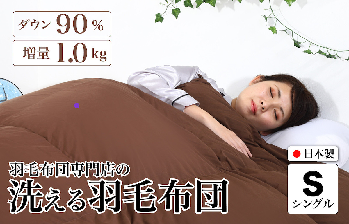 
            洗える羽毛布団 シングル 無地ブラウン ダウン90% 1.0kg 立体スクエアキルト 8か所ループ付き 洗濯可能 日本製 洗える布団 シングル布団 ふとん 布団 寝具 羽毛 布団 羽毛布団 寝具 掛け布団 掛布団 寝具 布団 ふとん 布団 寝具 ふとん 掛けふとん ふとん 布団 寝具 羽毛 布団 羽毛布団 寝具 羽毛ふとん 布団 羽毛布団 羽毛 洗える 羽毛布団
          