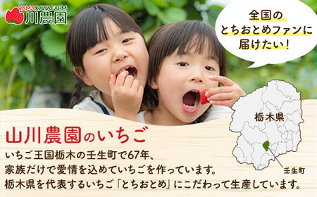 とちおとめ 320g×2パック 3Lサイズ ｜ いちご 苺 イチゴ 贈答 フルーツ 果物 国産 平積み　※2026年1月中旬頃より順次発送予定
