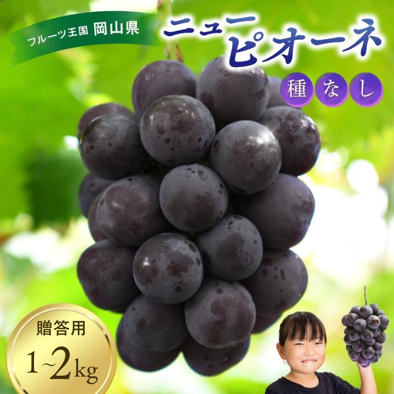 【ふるさと納税】 ピオーネ ニューピオーネ 1kg 2房 贈答用 除草剤不使用 【2027年 9月上旬順次発送予定】 ブドウ ぶどう 葡萄 果物 くだもの フルーツ 種なし 種無し 数量限定 期間限定 産地直送 人気 ピオーネ ギフト 岡山 先行予約 送料無料