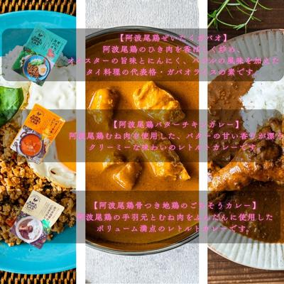 ふるさと納税 美波町 AWAODORILAB3種9食 |  | 01