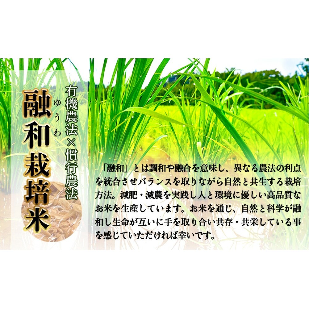 ＜先行予約＞お米自慢コンクール優秀賞！  令和6年産 富山県産コシヒカリ 玄米 10kg  富山県 氷見市 こしひかり R6