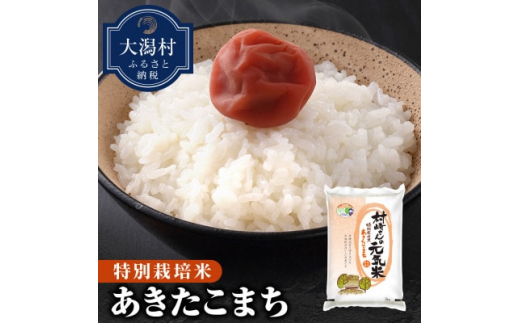 ＜精米＞大潟村産あきたこまち特別栽培米5kg ＜令和7年産＞【1353936】