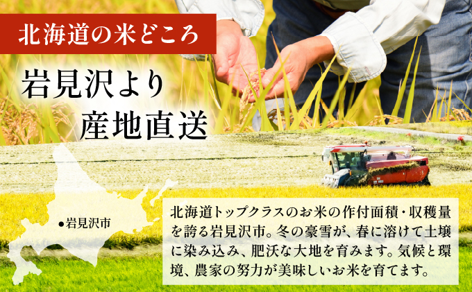 令和7年産 岩見沢産 ななつぼし 10kg (5kg×2袋) 精米 | 北海道岩見沢産 ななつぼし 精米 10kg 白米 米 お米 ご飯 ごはん 北海道 岩見沢市