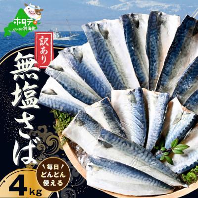 ふるさと納税 別海町 訳あり 北海道産 無塩さば 4kg 小分け 無添加・国産サバフィレ サバの味噌煮にも合う天然鯖