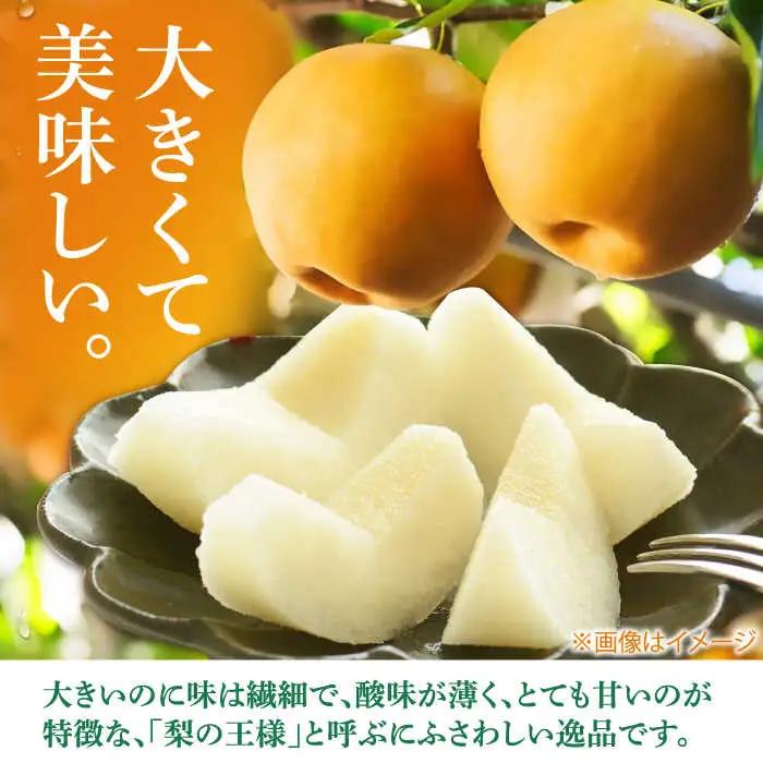 まるはり新高梨（約800g×3玉入） 〈2026年9月下旬?2026年10月上旬発送〉 / 新高梨 梨 果物 フルーツ デザート 【高知市農業協同組合】 [ATBK002]