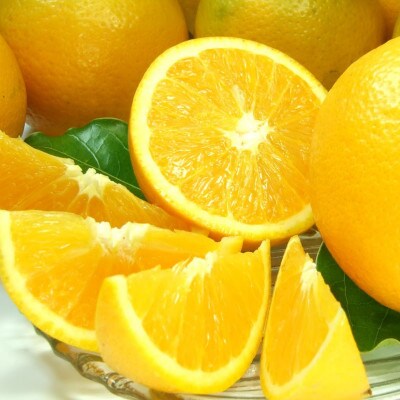 バレンシアオレンジ[約7kg]湯浅町田村産 春みかん(無選別・果実サイズ混合)【1284460】