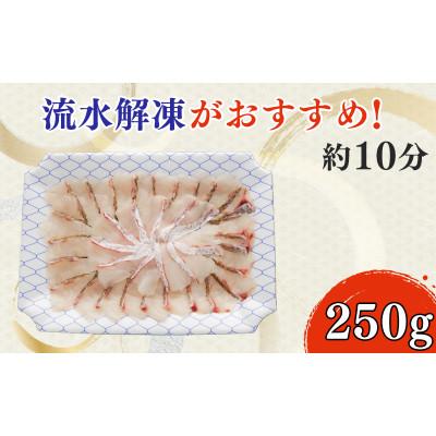 ふるさと納税 沼津市 鯛の刺身 (250g×1パック) |  | 03