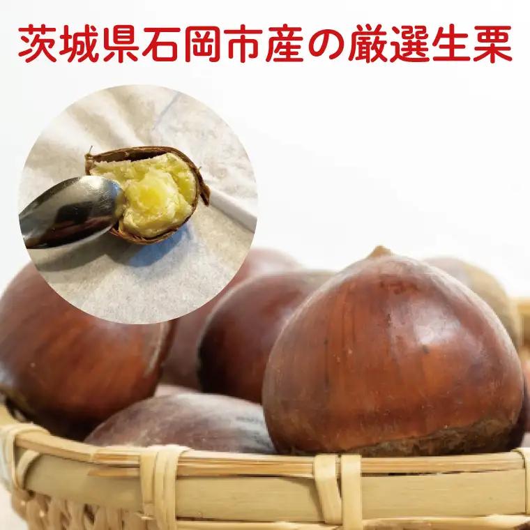 【2026年9月中旬より順次発送】石岡市鶴沼の栗（生栗）3kg（茨城県共通返礼品/石岡市）（KN-6）