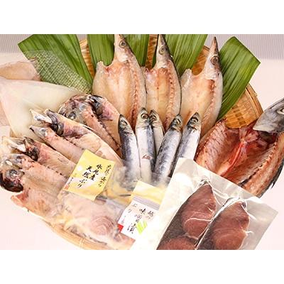 ふるさと納税 氷見市 氷見　堀与おすすめ一夜干5種と氷見ぶり2種