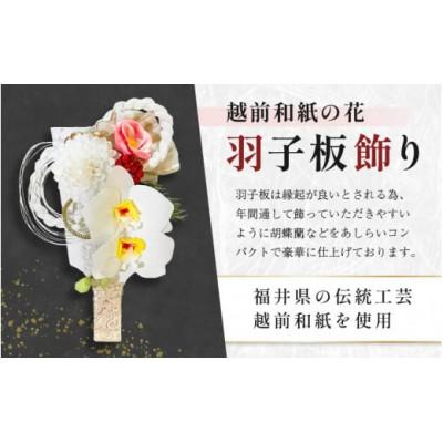 ふるさと納税 越前町 【越前和紙】羽子板 飾り 胡蝶蘭(ホワイト) |  | 01