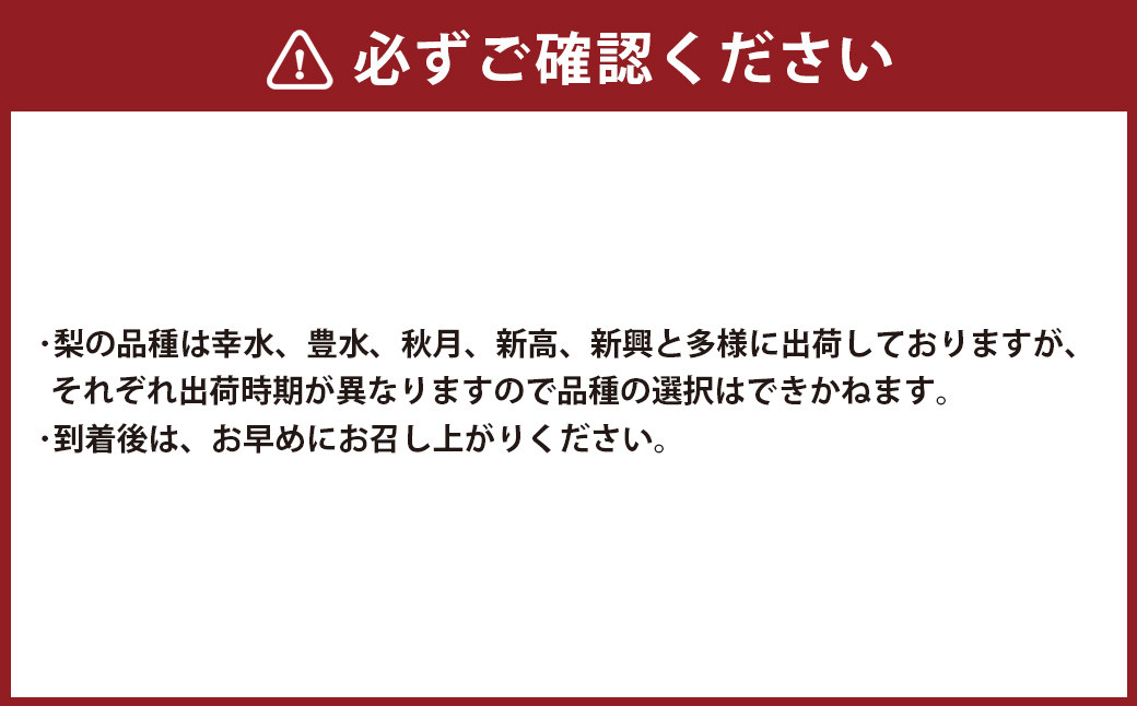  東光寺梨 約4kg