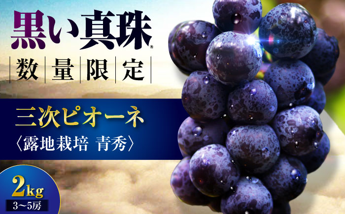 【先行予約】 三次ピオーネ 露地栽培 青秀 2kg （3～5房） ＜8月下旬以降順次発送＞限定 ぶどう ピオーネ 葡萄 ブドウ フルーツ 果物 三次市 / 三次ピオーネ生産組合 [APBD002]
