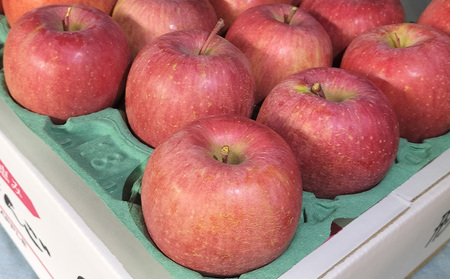 サンふじリンゴ 秀品 5kg (12～18玉) FY25-360