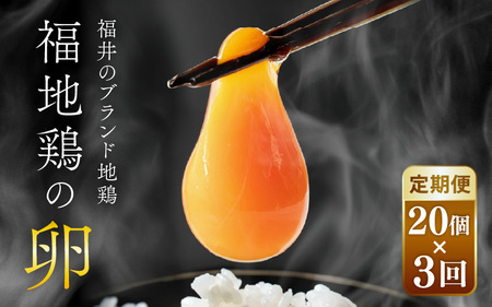 【3ヶ月連続お届け】 福井ブランド 「福地鶏」 の卵 20個 濃厚で甘くておいしい！  定期便 ／ 卵 たまご 鶏卵 生卵 有精卵 高級 高級卵 福地鶏 鶏 平飼い 美味しい こだわり 3ヶ月 定期便 卵かけご飯 料理 あわら市 福井県産 [aw036-b001]